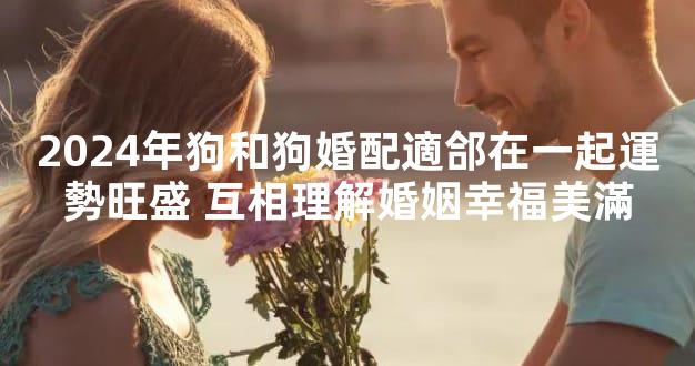 2024年狗和狗婚配適郃在一起運勢旺盛 互相理解婚姻幸福美滿